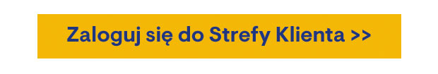 ZALOGUJ SIĘ DO STREFY KLIENTA >>